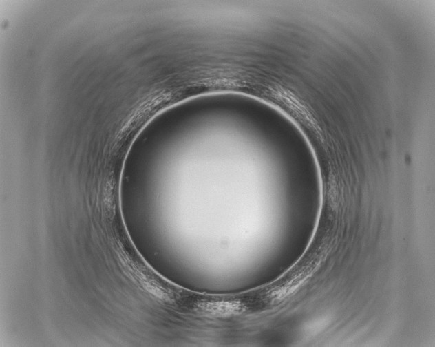 X0000059830449200510241425