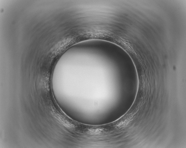 X0000059830450200510241425