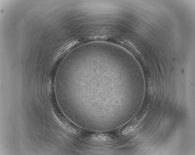 X0000059830451200510241425