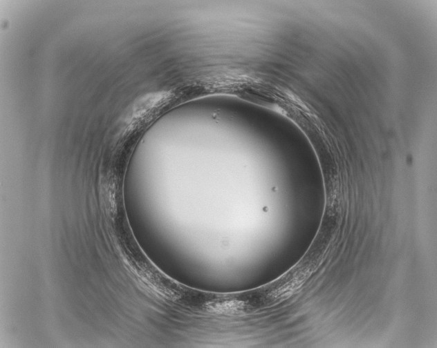 X0000059830452200510241425