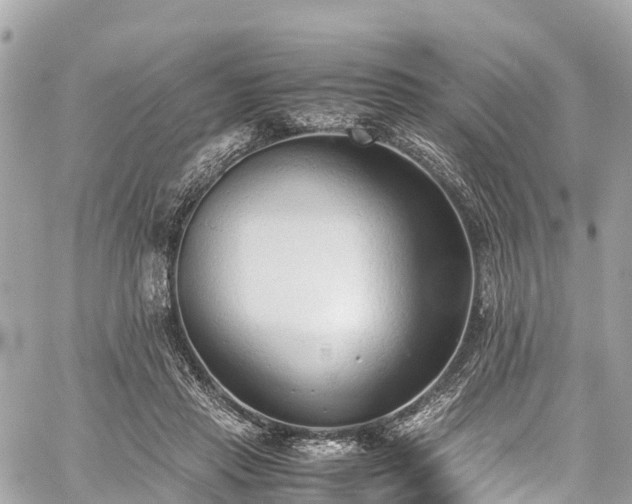 X0000059830453200510241425