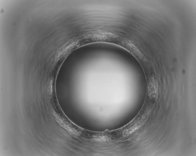 X0000059830454200510241425