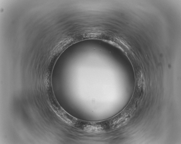 X0000059830455200510241425