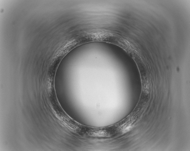 X0000059830456200510241425