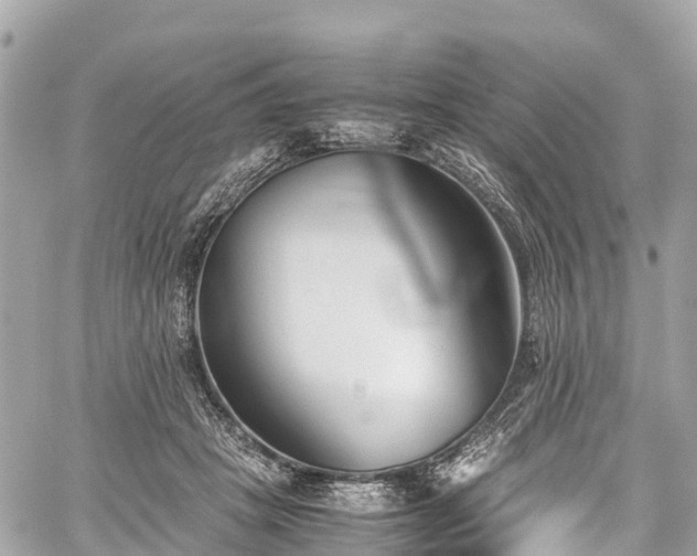 X0000059830457200510241425