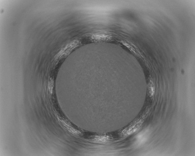 X0000059830458200510241425