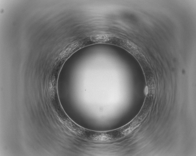 X0000059830460200510241425