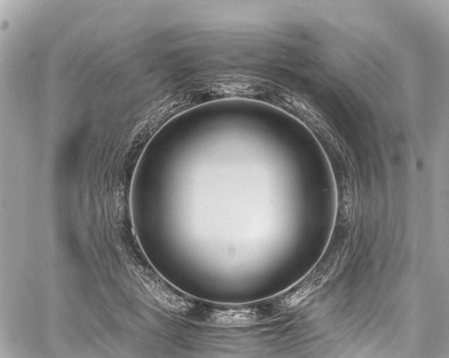 X0000059830461200510241425