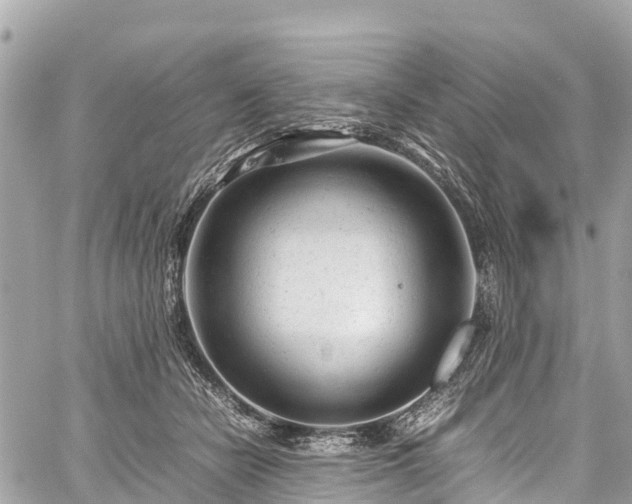 X0000059830462200510241425