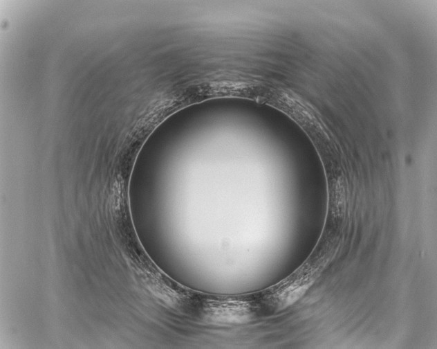 X0000059830463200510241425