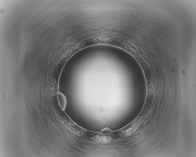 X0000059830464200510241425