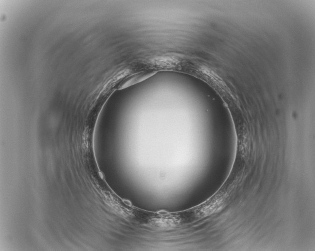 X0000059830466200510241425