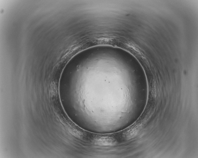 X0000059830467200510241425