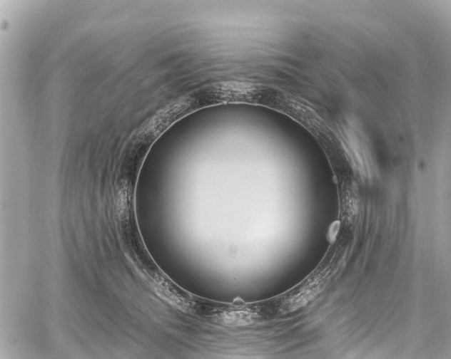 X0000059830468200510241425