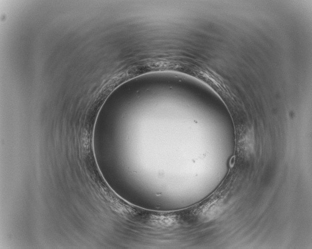 X0000059830469200510241425