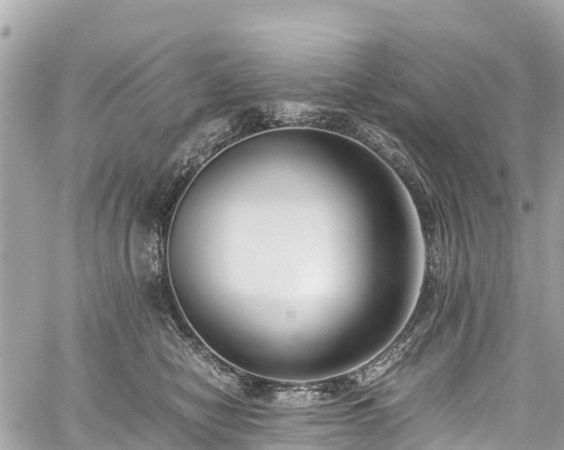 X0000059830470200510241425