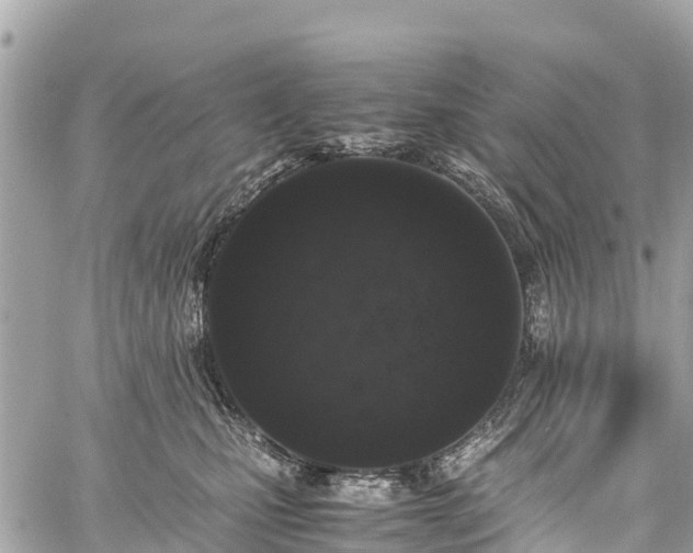 X0000059830471200510241425