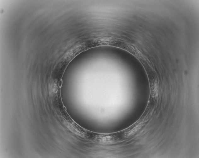 X0000059830472200510241425