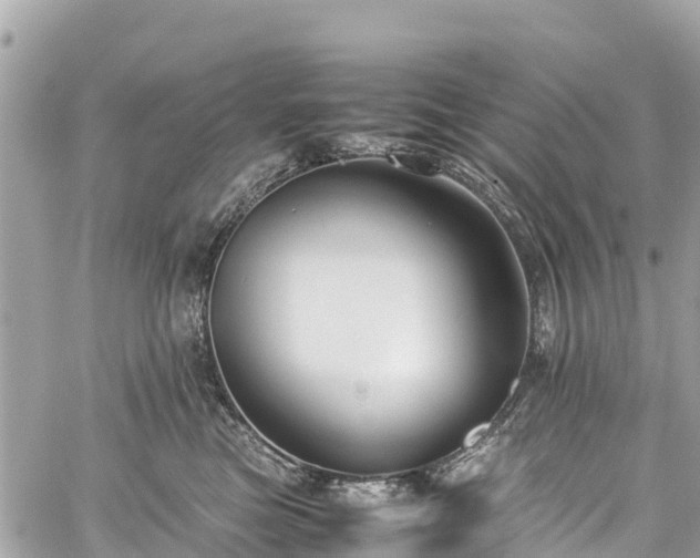 X0000059830473200510241425