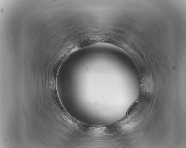 X0000059830474200510241425