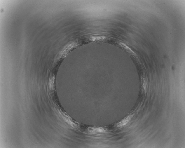 X0000059830475200510241426