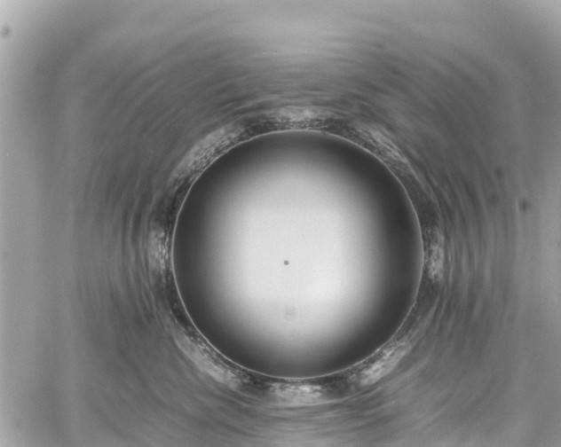 X0000059830476200510241426