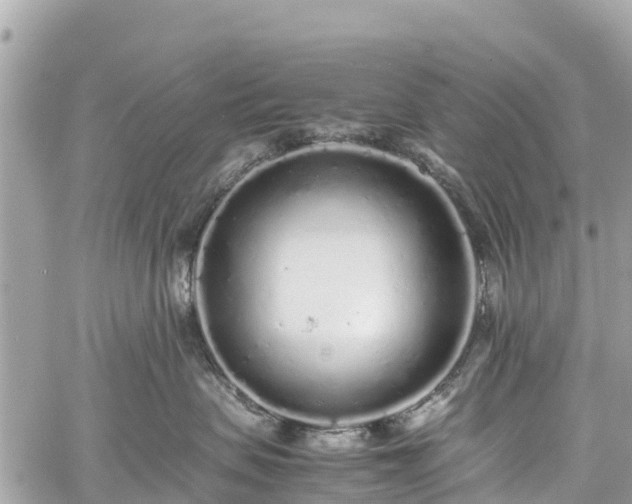 X0000059830479200510241426