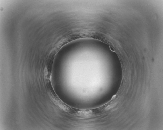 X0000059830480200510241426