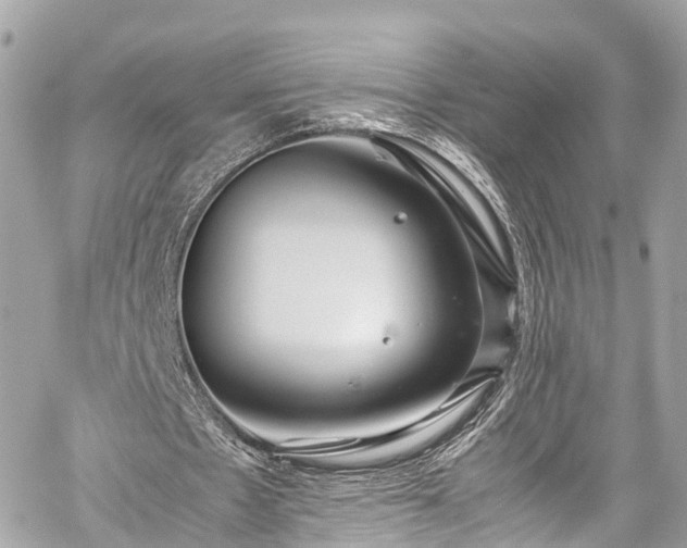 X0000059830481200510241425