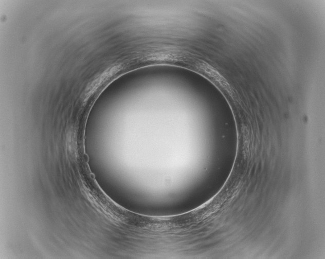 X0000059830482200510241425