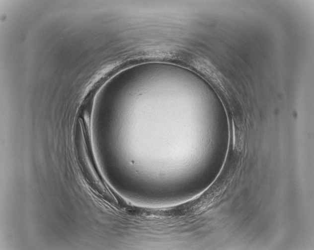 X0000059830483200510241425