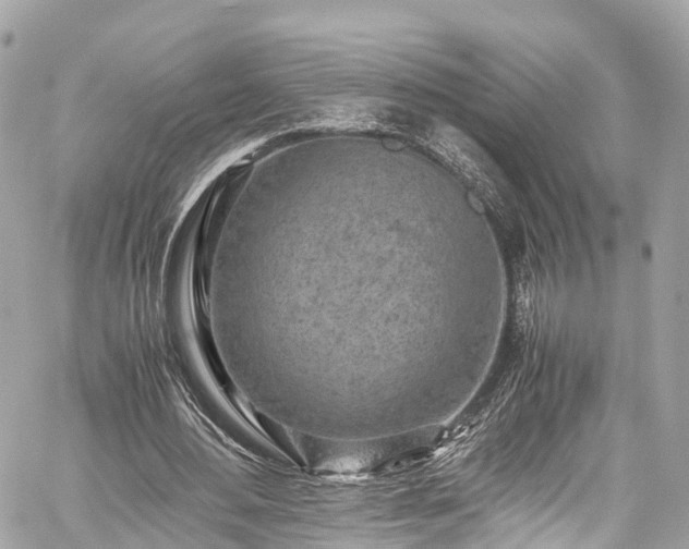 X0000059830484200510241425