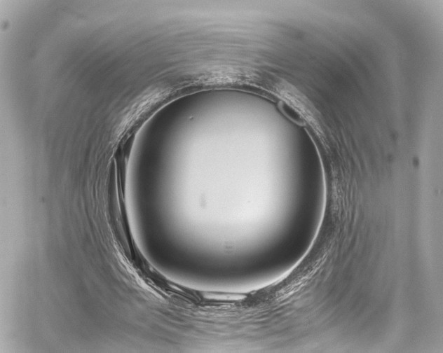 X0000059830485200510241425