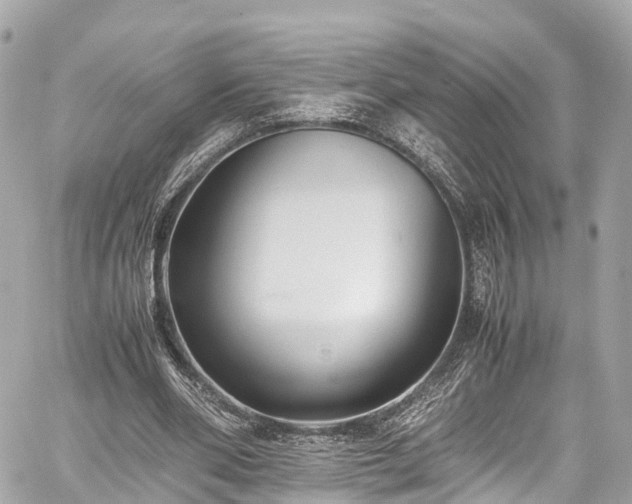 X0000059830486200510241425