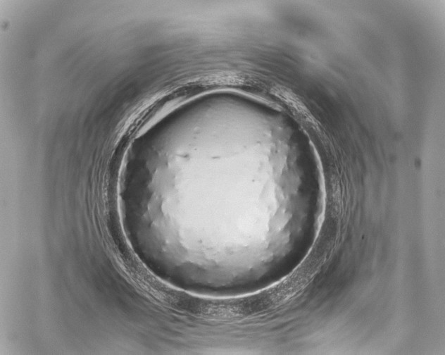 X0000059830487200510241425