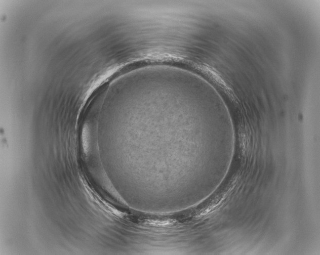 X0000059830488200510241425