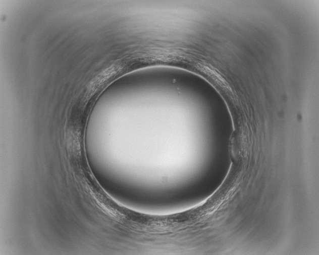 X0000059830489200510241425