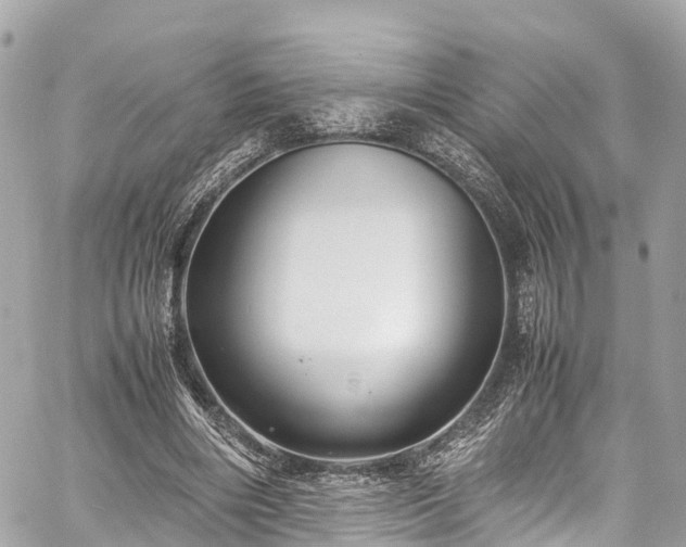 X0000059830490200510241425