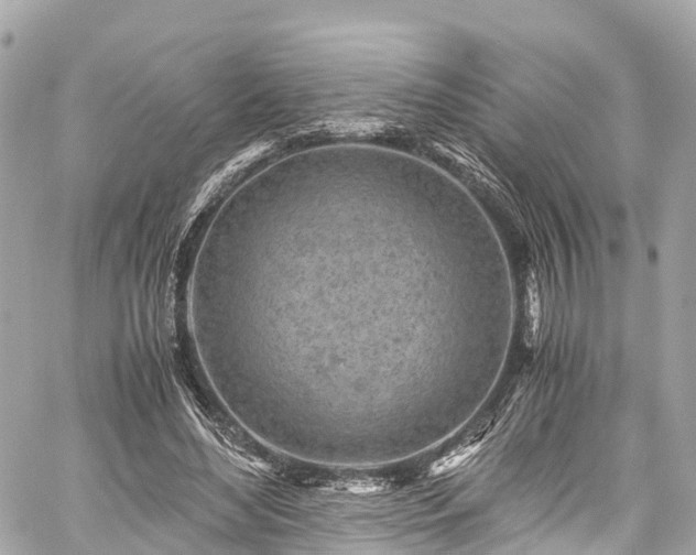 X0000059830492200510241425