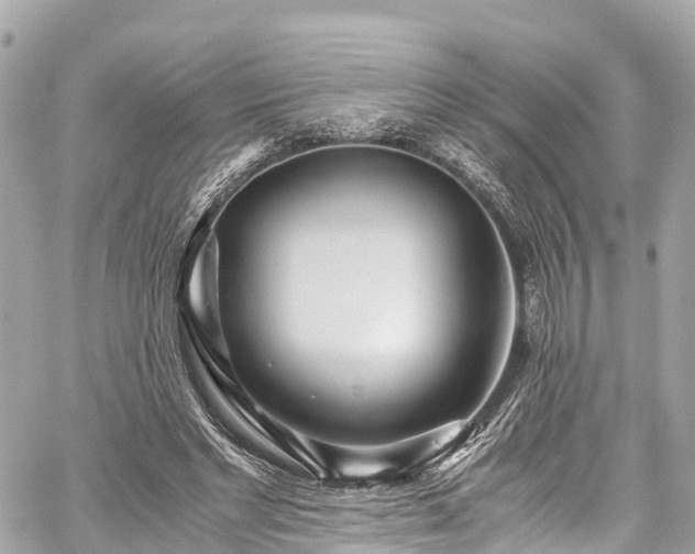 X0000059830493200510241425