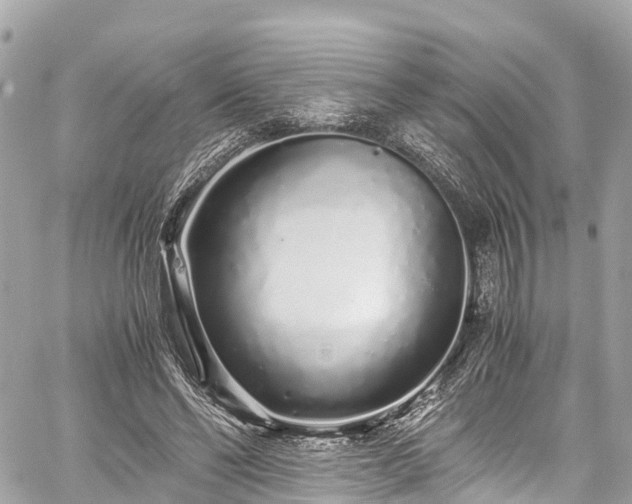 X0000059830494200510241425