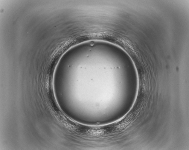 X0000059830495200510241425