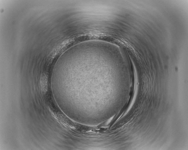 X0000059830496200510241425