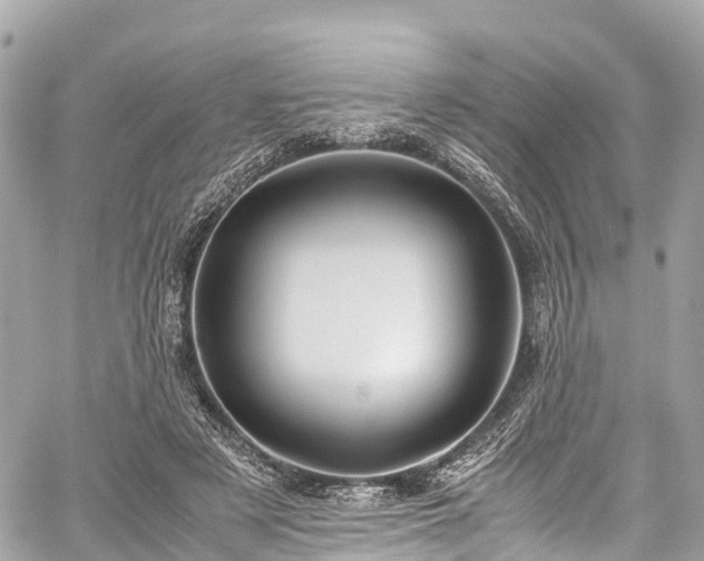 X0000059830497200510241425