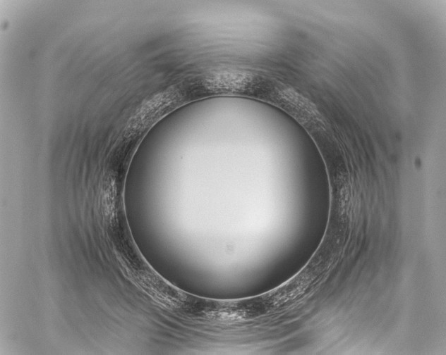 X0000059830498200510241425