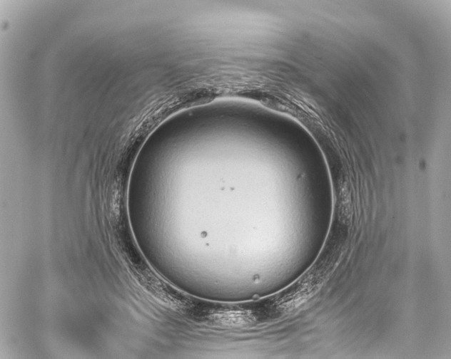 X0000059830499200510241424