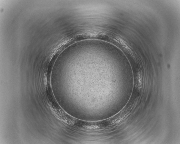 X0000059830500200510241424