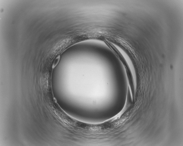 X0000059830501200510241424