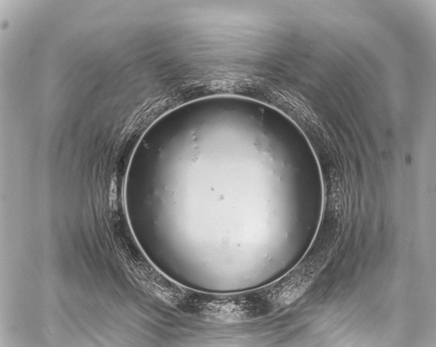 X0000059830502200510241424