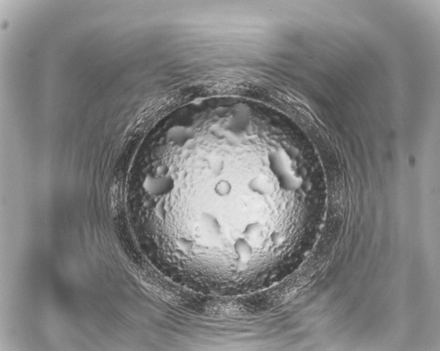 X0000059830503200510241424